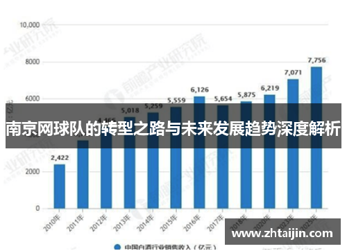 南京网球队的转型之路与未来发展趋势深度解析