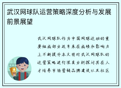 武汉网球队运营策略深度分析与发展前景展望